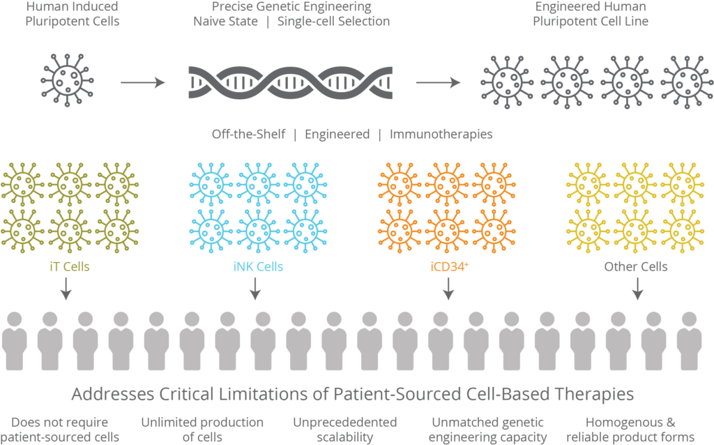 Programming Cell Fate