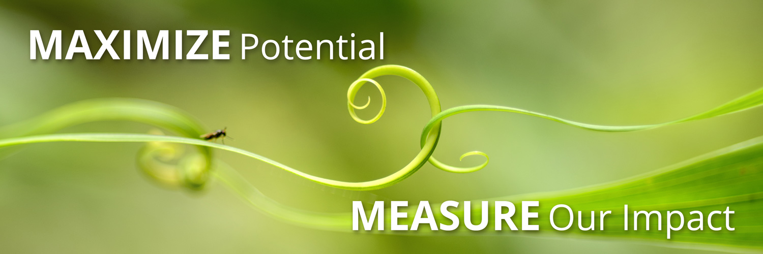 MAXIMIZE POTENTIAL, MEASURE OUR IMPACT