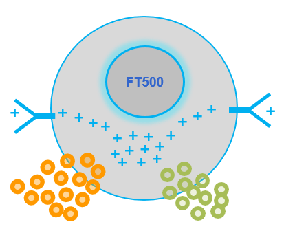 FT500 - Fate Therapeutics